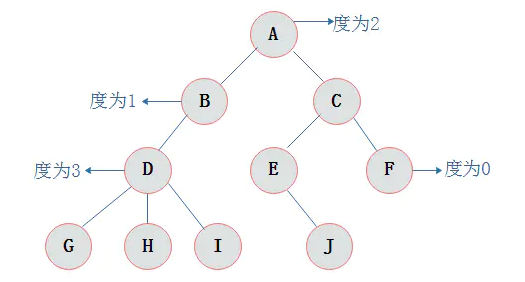 结点的度